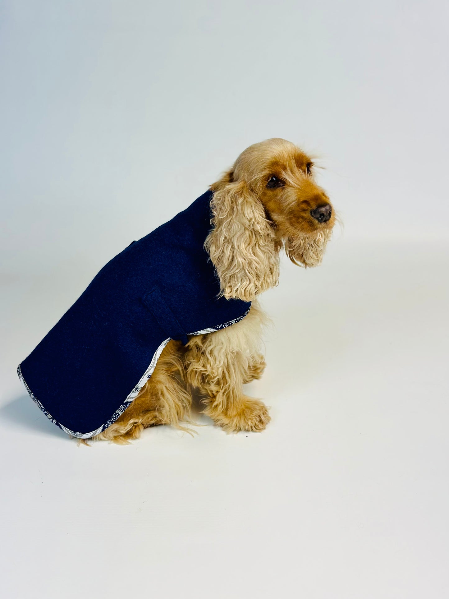 Made-to-Measure Hundemantel